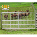 Australia steel pipe animal livestock cattle farm gate